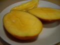 20040718 18