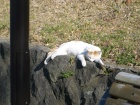 20050405 2