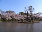 20050407 12