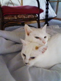 20080509 0